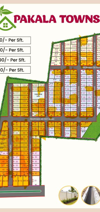 PAKALA TOWNSHIP